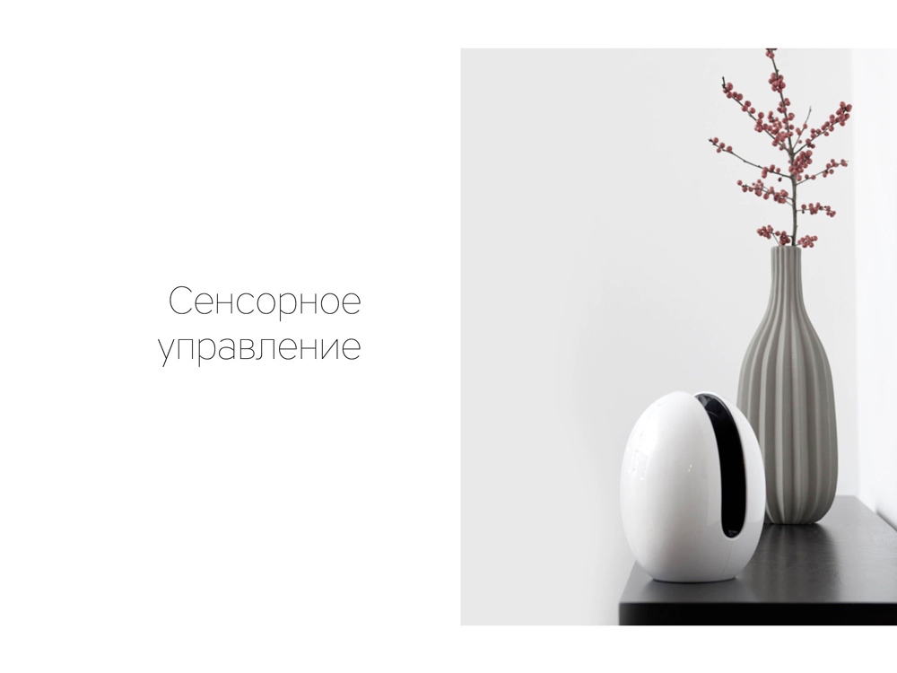 Портативная колонка «Mysound EVA» заказать в Москве