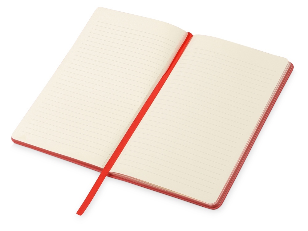 Подарочный набор «Notepeno» с блокнотом А5, флешкой и ручкой заказать под нанесение логотипа