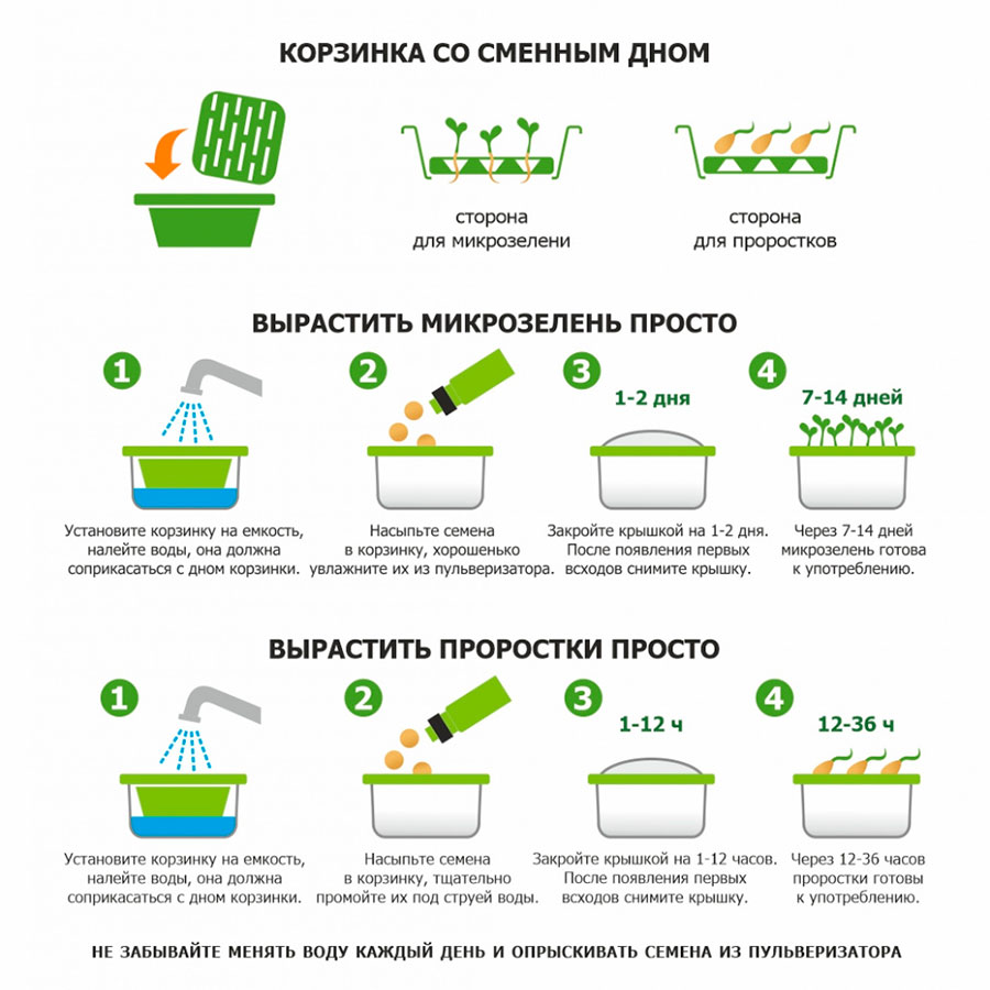 Подарочный набор для проращивания микрозелени: проращиватель, семена руколы на заказ с логотипом компании