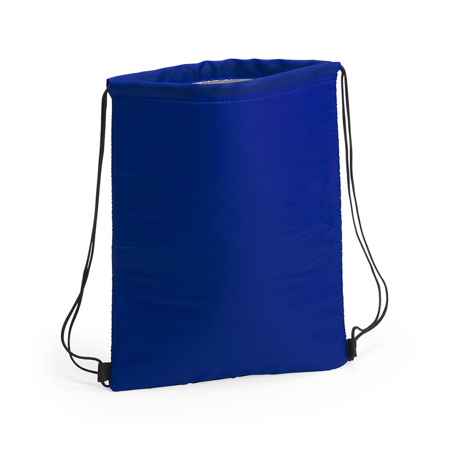 Термосумка NIPEX, синий, полиэстер, алюминивая подкладка, 32 x 42  см заказать в Москве