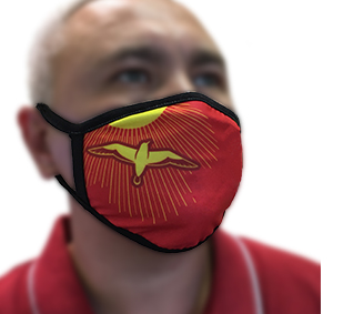 Двухслойная хлопковая маска с принтом заказать в Москве